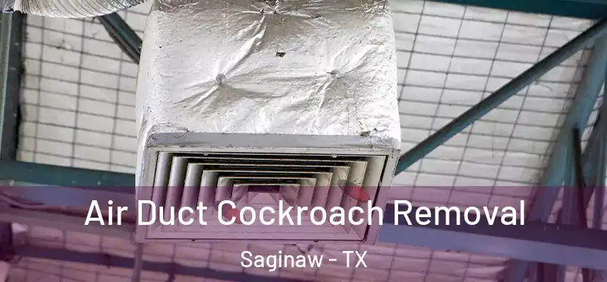  Air Duct Cockroach Removal Saginaw - TX