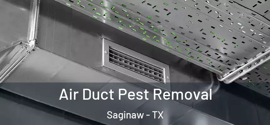  Air Duct Pest Removal Saginaw - TX