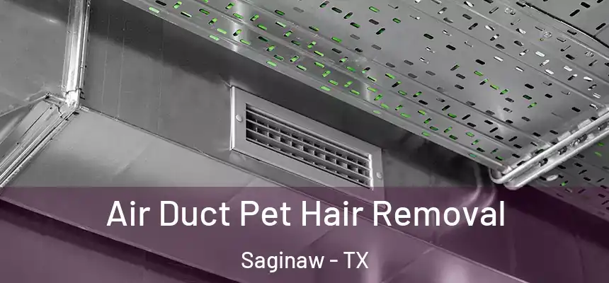 Air Duct Pet Hair Removal Saginaw - TX