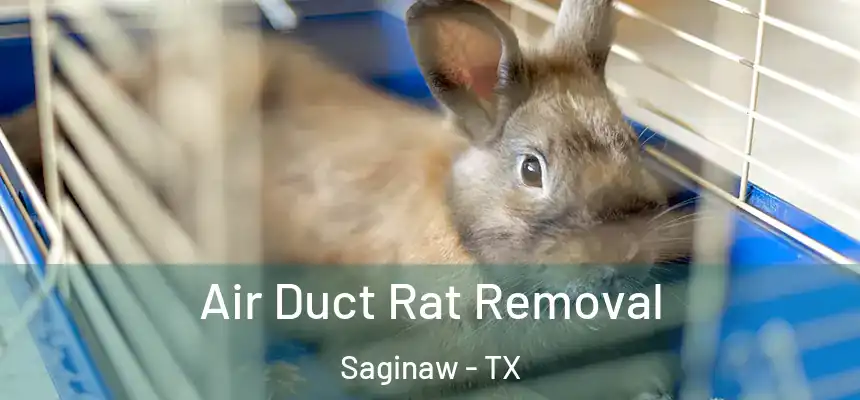 Air Duct Rat Removal Saginaw - TX