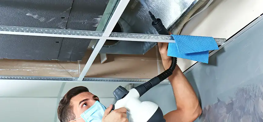 Our Air Duct Rodent Removal Services in Saginaw, TX