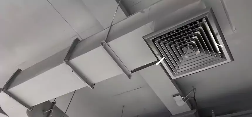 Restorative Allergy Relief Vent Cleaning – Coil, Blower & Housing Detail in Saginaw