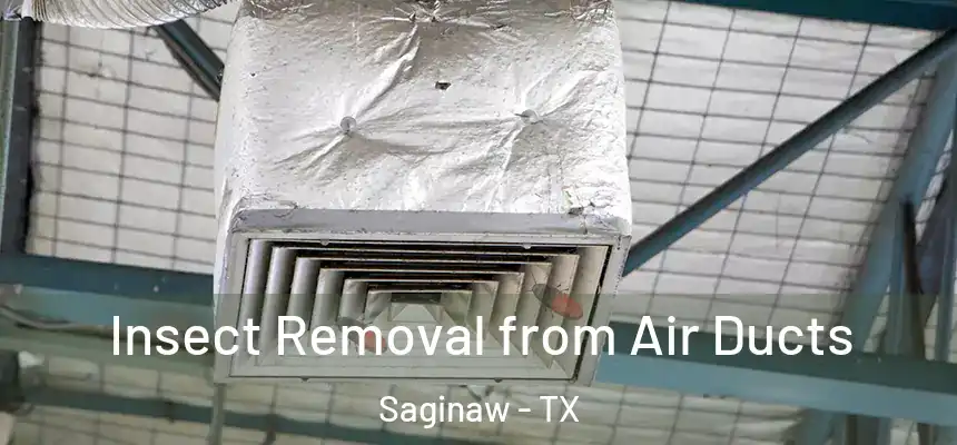 Insect Removal from Air Ducts Saginaw - TX