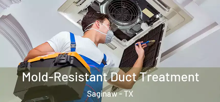 Mold-Resistant Duct Treatment Saginaw - TX
