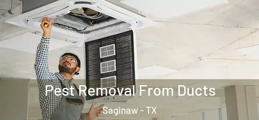  Pest Removal From Ducts Saginaw - TX