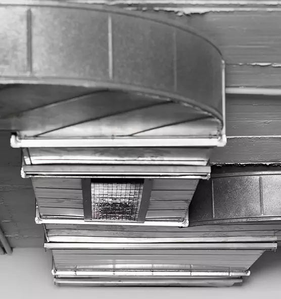 Professional Air Duct Pet Hair Removal in Saginaw, TX