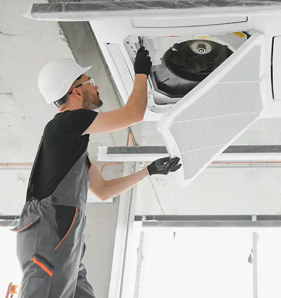 About Air Duct Rodent Removal in Saginaw, TX