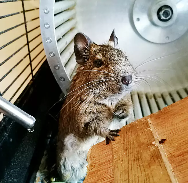 Why Homeowners & Businesses Trust Us Saginaw, TX?